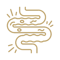 Gold line drawing of intestines with discomfort lines around them