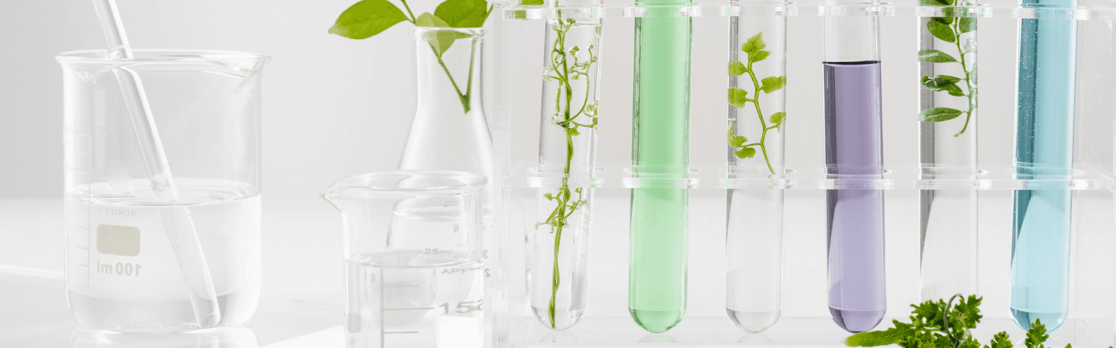 Laboratory beakers and test tubes holding clear, green, purple and blue liquids with sprigs of leaves