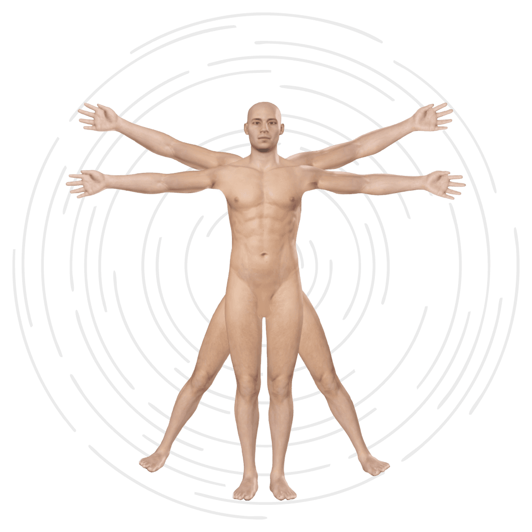 Anatomical figure of a man in a Vitruvian pose, drawn with arms and legs in two positions inside concentric circles
