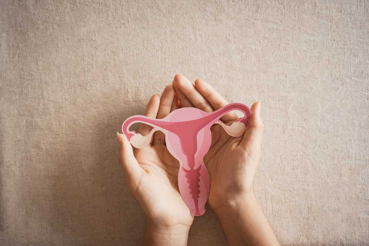 Brain and Estrogen: What Really Happens in Menopause?